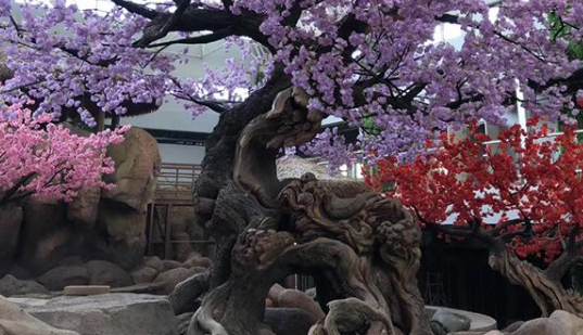 仿真榕樹(shù)適用于在什么地方？